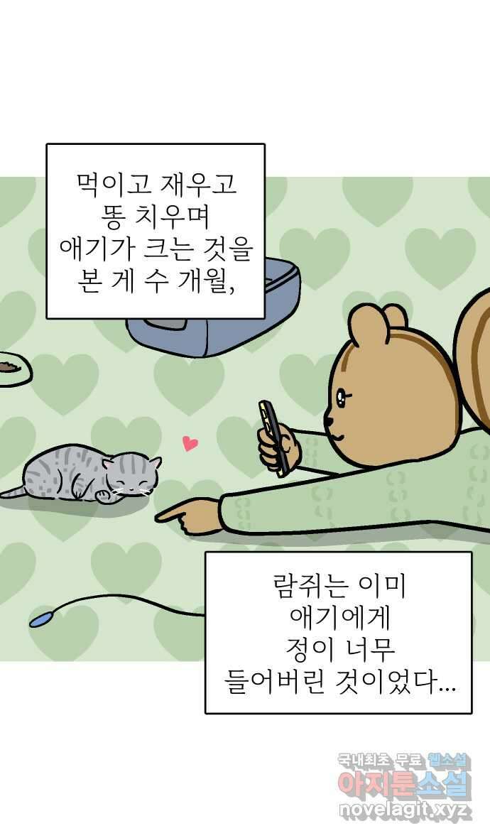 애옹식당 83화 애기, 입양가다?!(3) 7