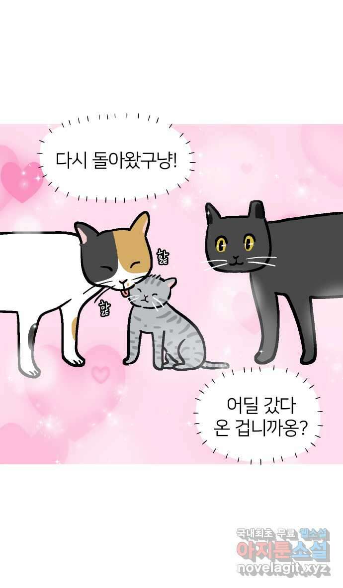 애옹식당 83화 애기, 입양가다?!(3) 11