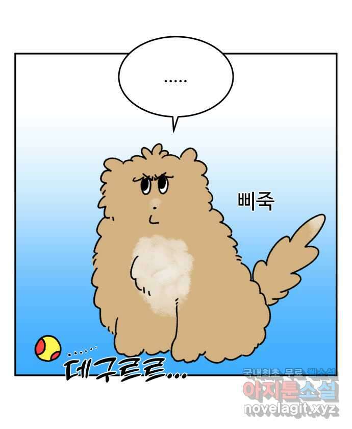 강아지는 멍멍하고 짖지 않아! 11화 - 관심을 주세요 3