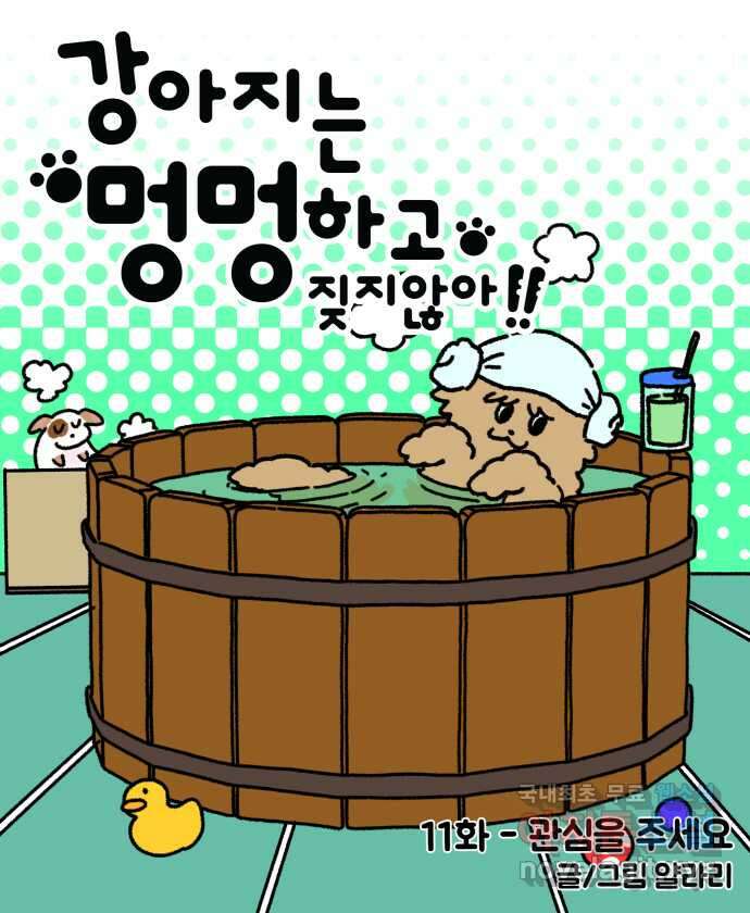 강아지는 멍멍하고 짖지 않아! 11화 - 관심을 주세요 9