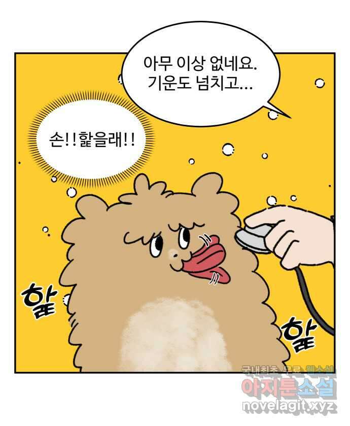 강아지는 멍멍하고 짖지 않아! 11화 - 관심을 주세요 14