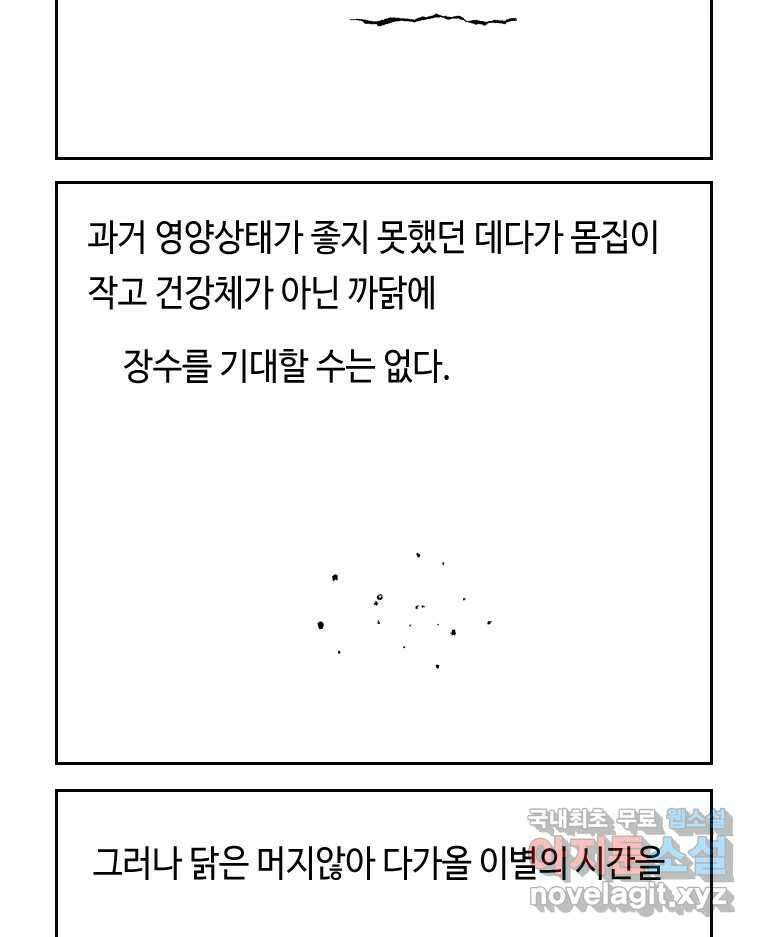 닭은 의외로 위대하다 4.타이타닉 1 15