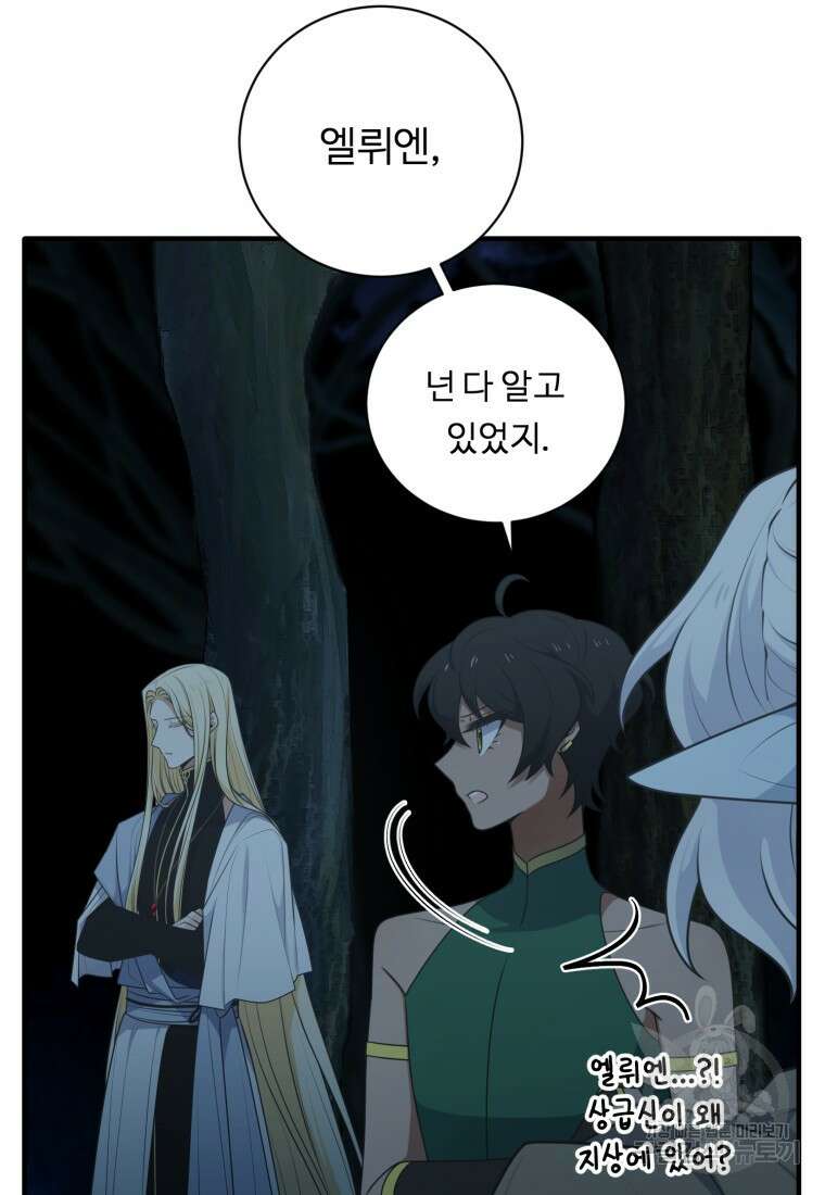 정령왕 엘퀴네스 256화 56