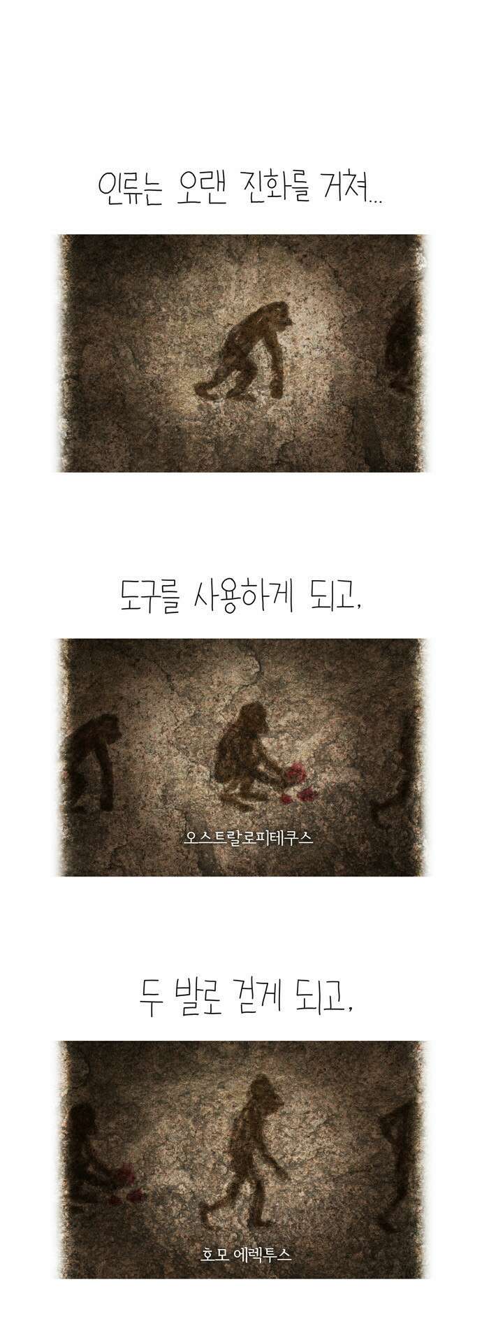 선천적 얼간이들 EP.0_예고편 1