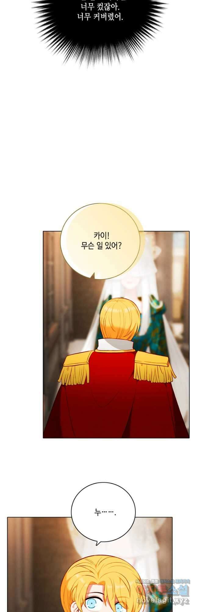 폭군의 누나로 산다는 것은 163화 [완결] 8