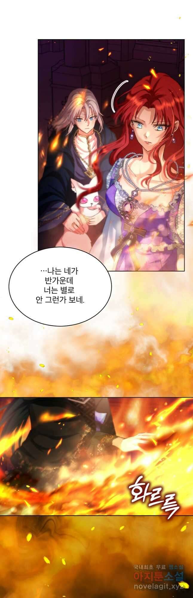 아기 신수로 환생했습니다 44화 11
