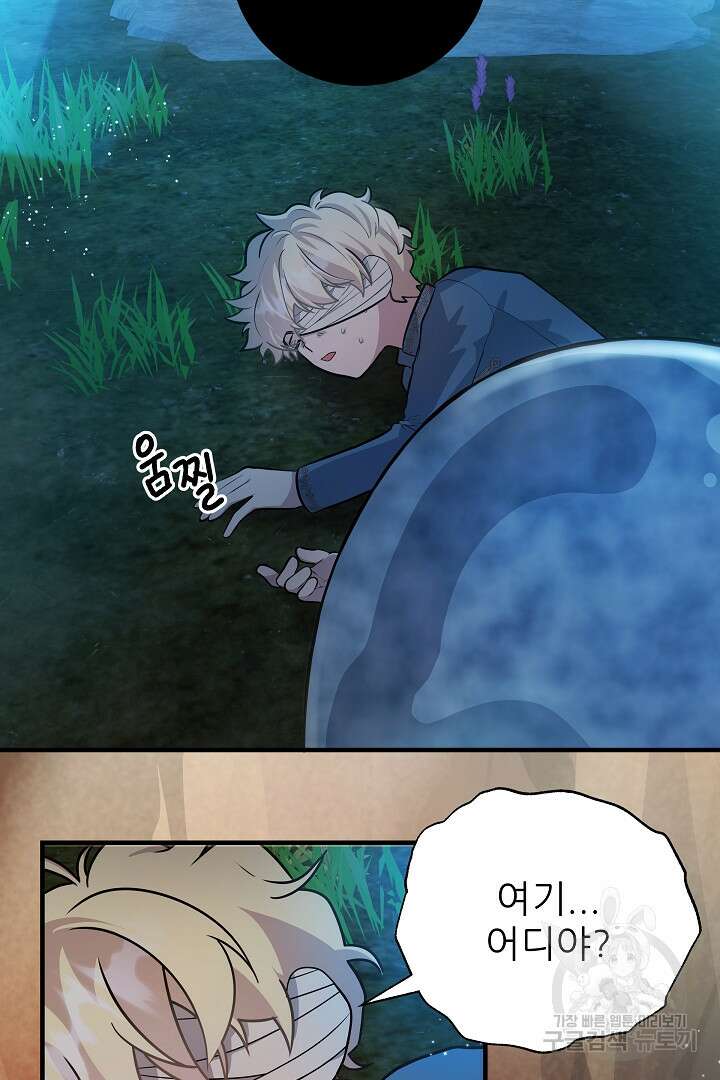 푸른 괴물의 껍질 9화 14
