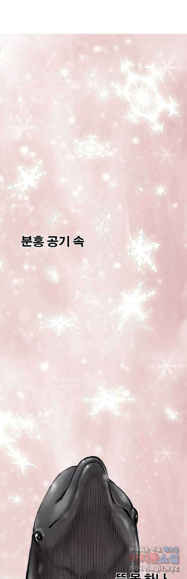 다이아몬드 더스트 29화 14