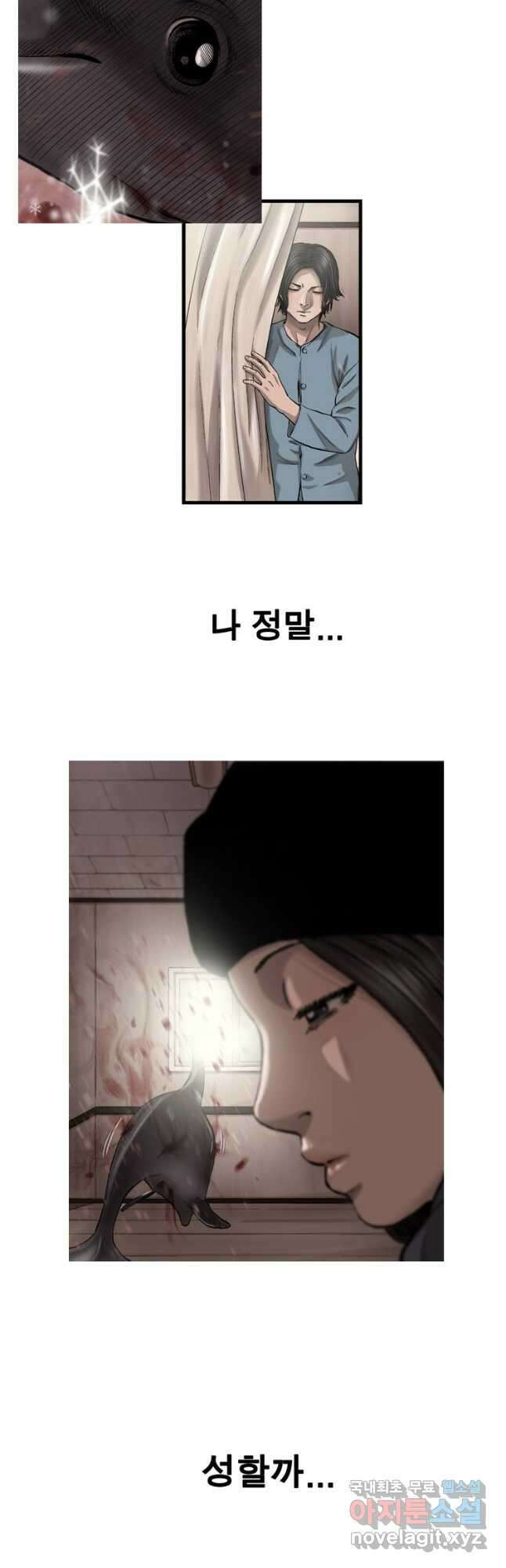 다이아몬드 더스트 29화 20