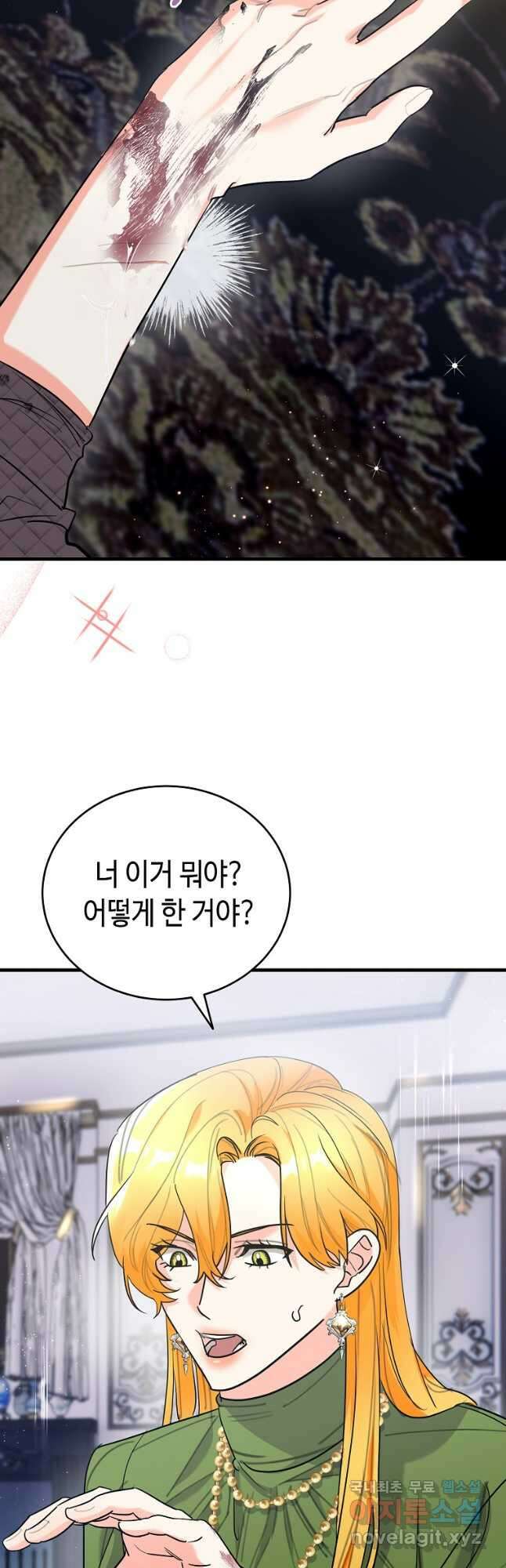 대공님의 애완 수인 48화 33