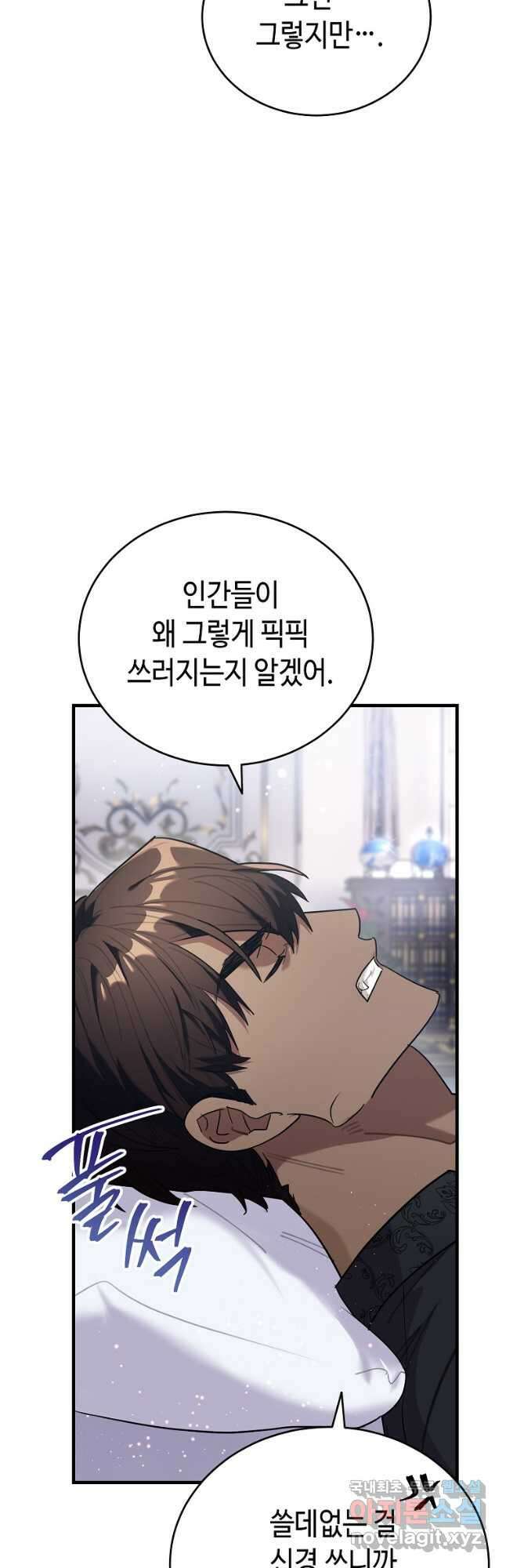 대공님의 애완 수인 49화 4