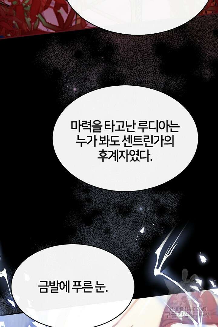 여기사는 더 이상 검을 들지 않았다 38화 57