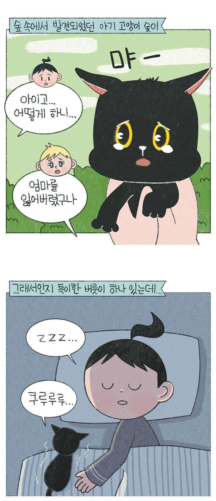 마님이네 미국 시골집 이야기 20화 매일 새벽에 일어나는 일 1