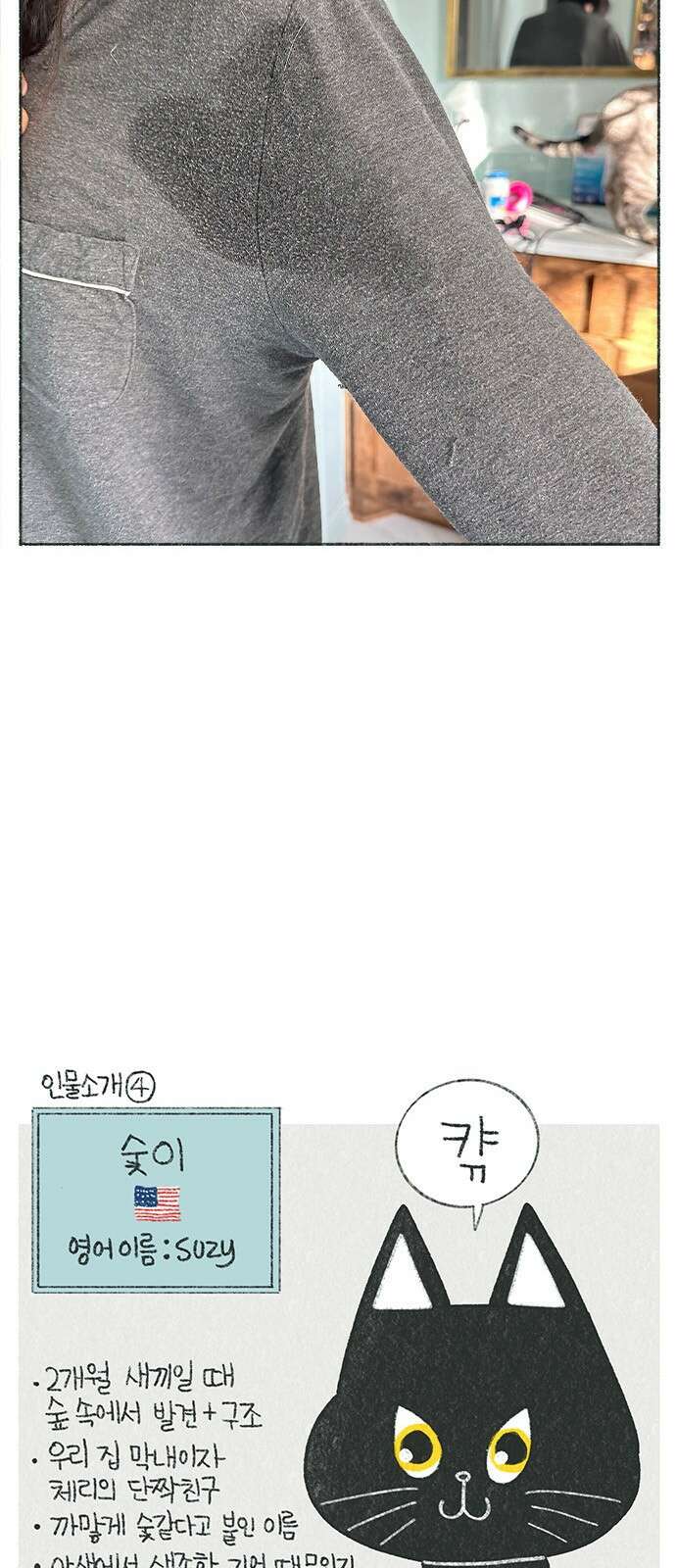 마님이네 미국 시골집 이야기 20화 매일 새벽에 일어나는 일 4