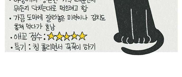 마님이네 미국 시골집 이야기 20화 매일 새벽에 일어나는 일 5
