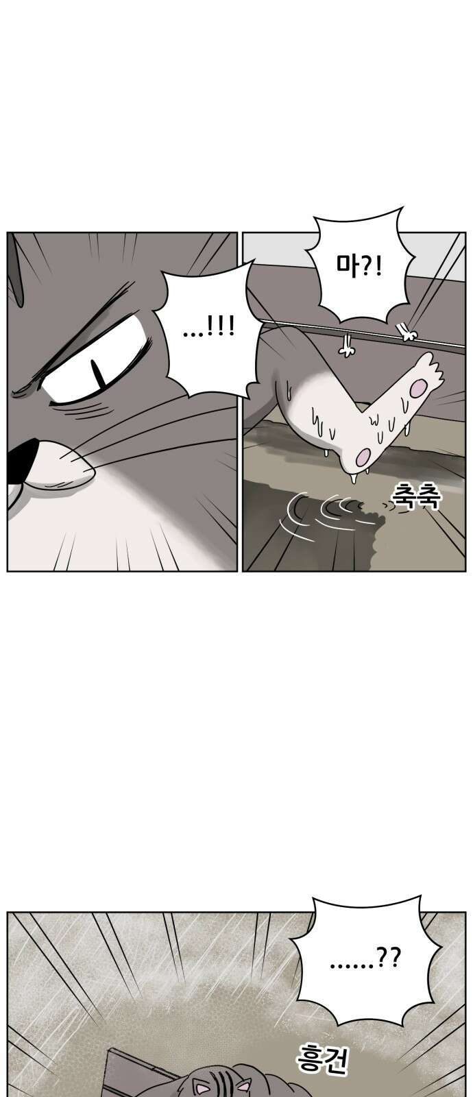 괴양이 16화 태풍 2