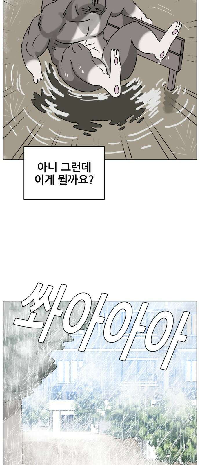 괴양이 16화 태풍 3