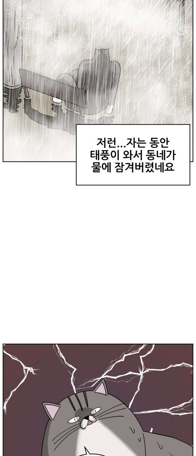 괴양이 16화 태풍 4