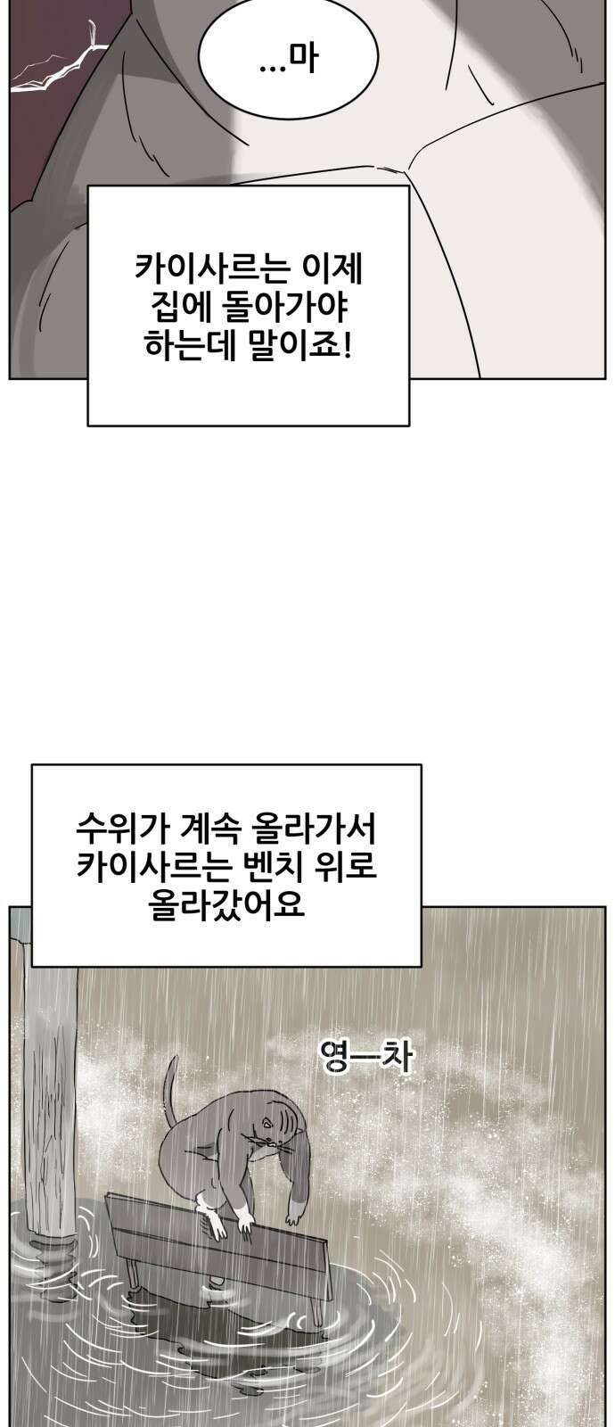 괴양이 16화 태풍 5