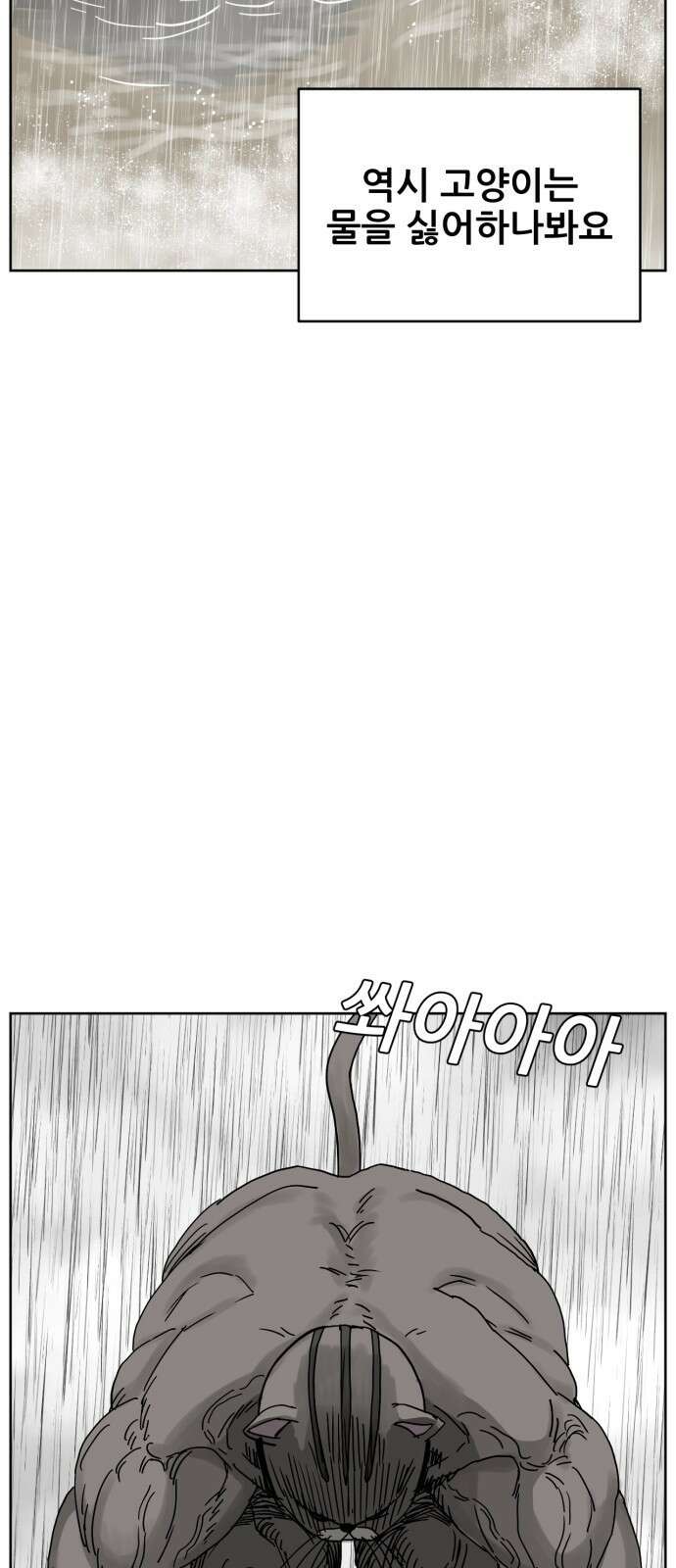 괴양이 16화 태풍 6