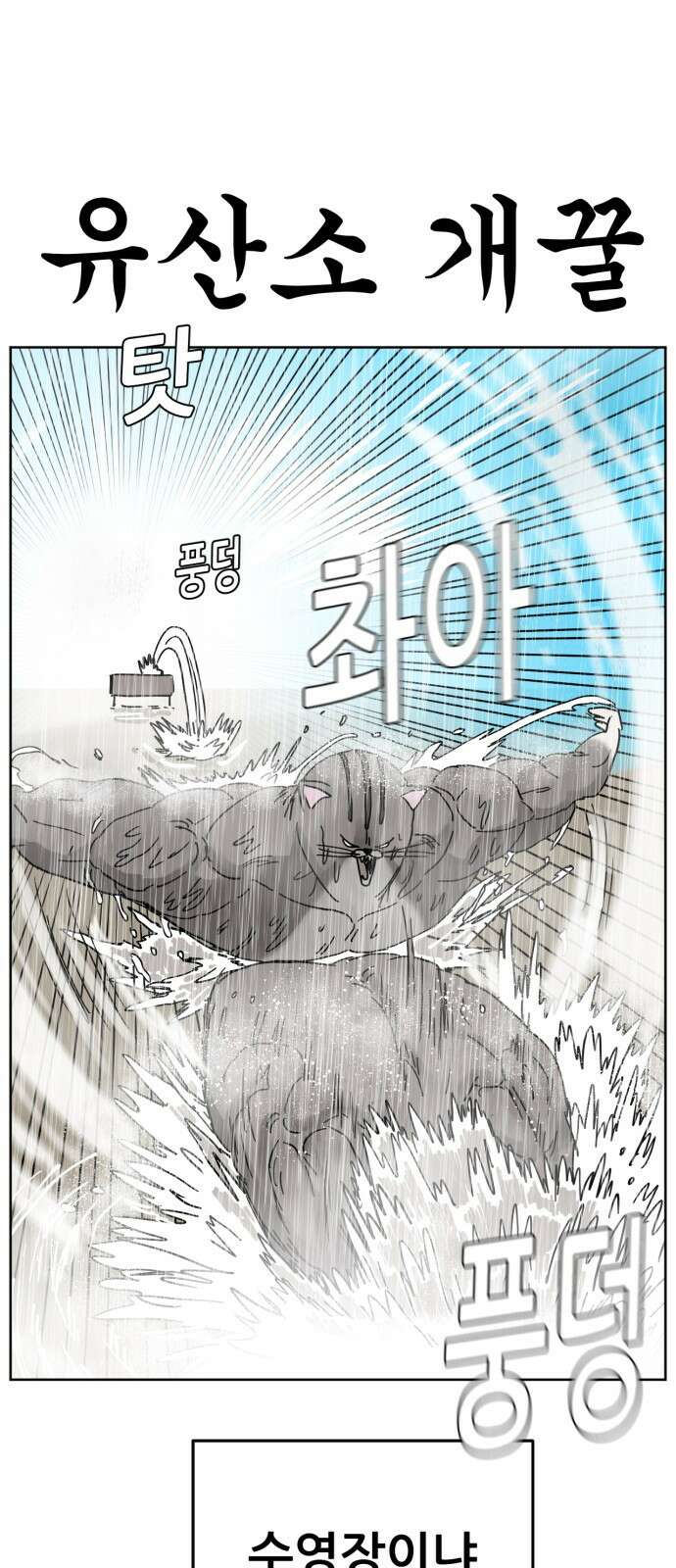 괴양이 16화 태풍 8