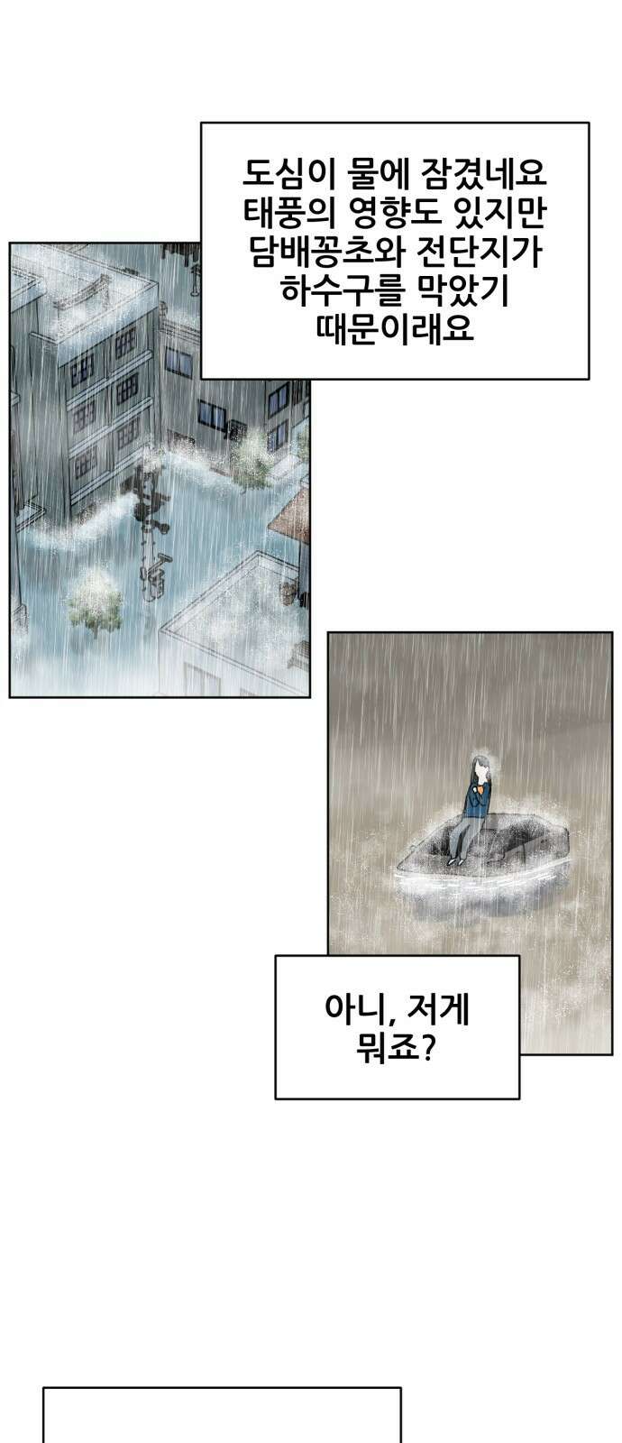괴양이 16화 태풍 10