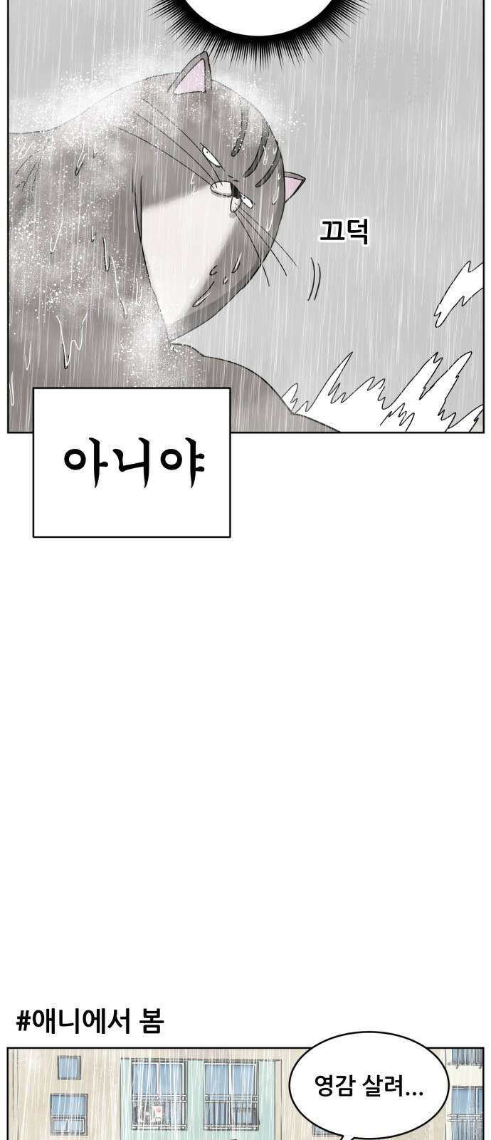 괴양이 16화 태풍 27