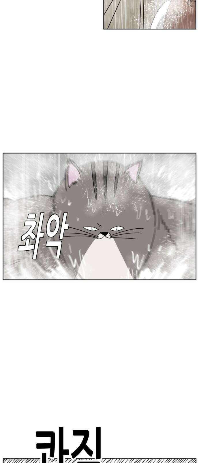 괴양이 16화 태풍 29