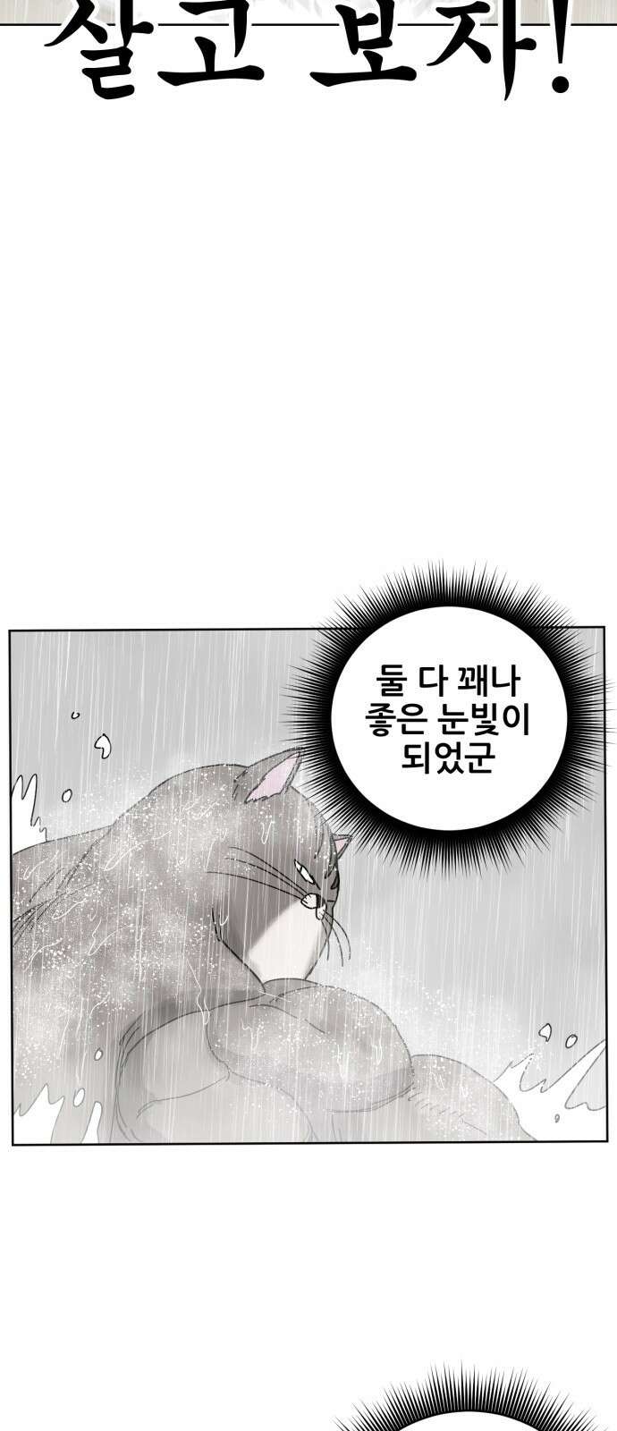 괴양이 16화 태풍 40