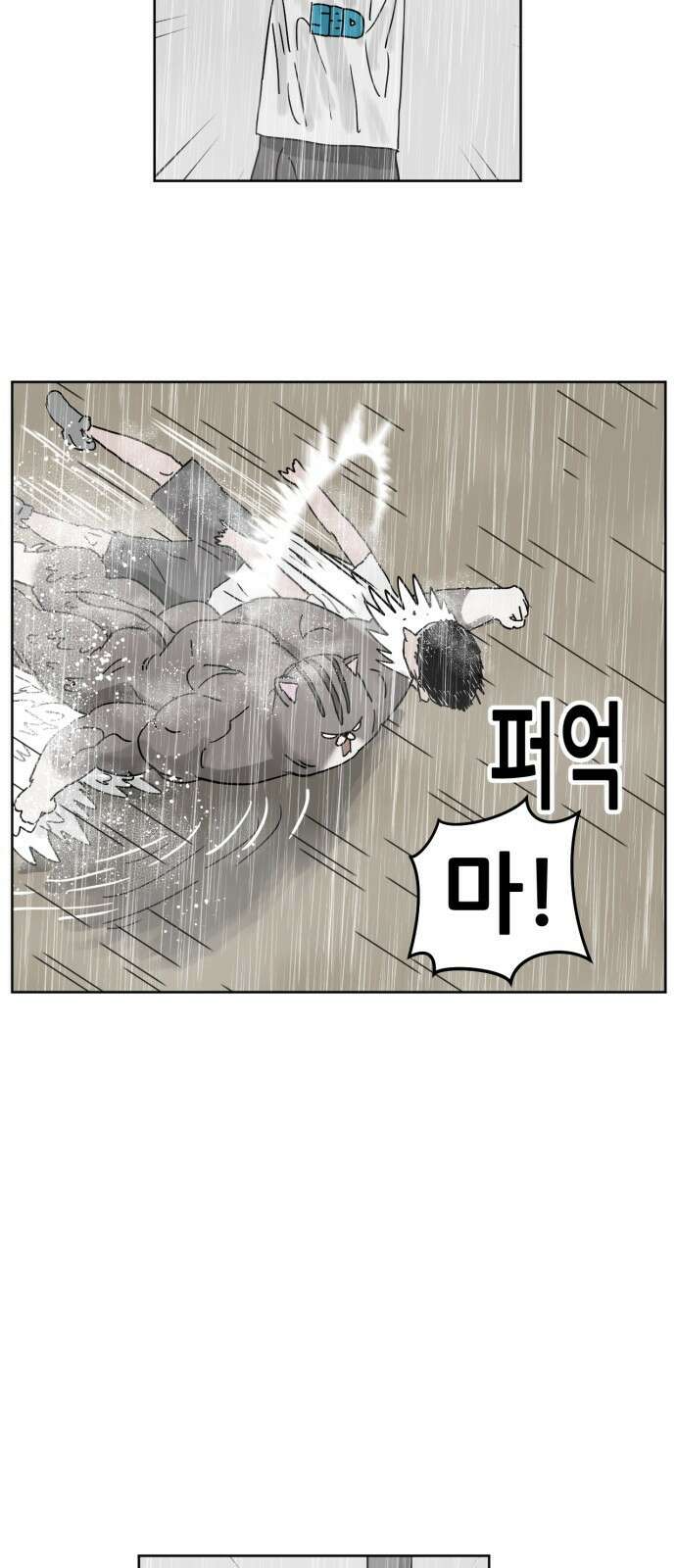 괴양이 16화 태풍 42