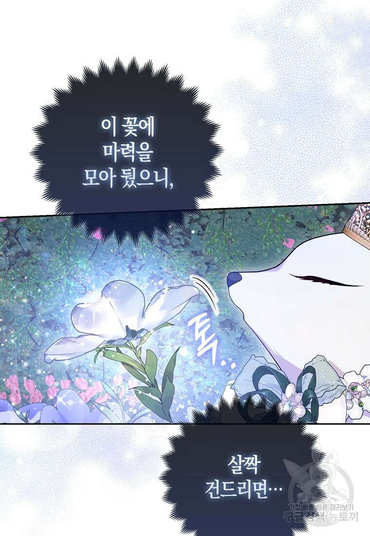 대공가의 여우 황녀님 14화 79