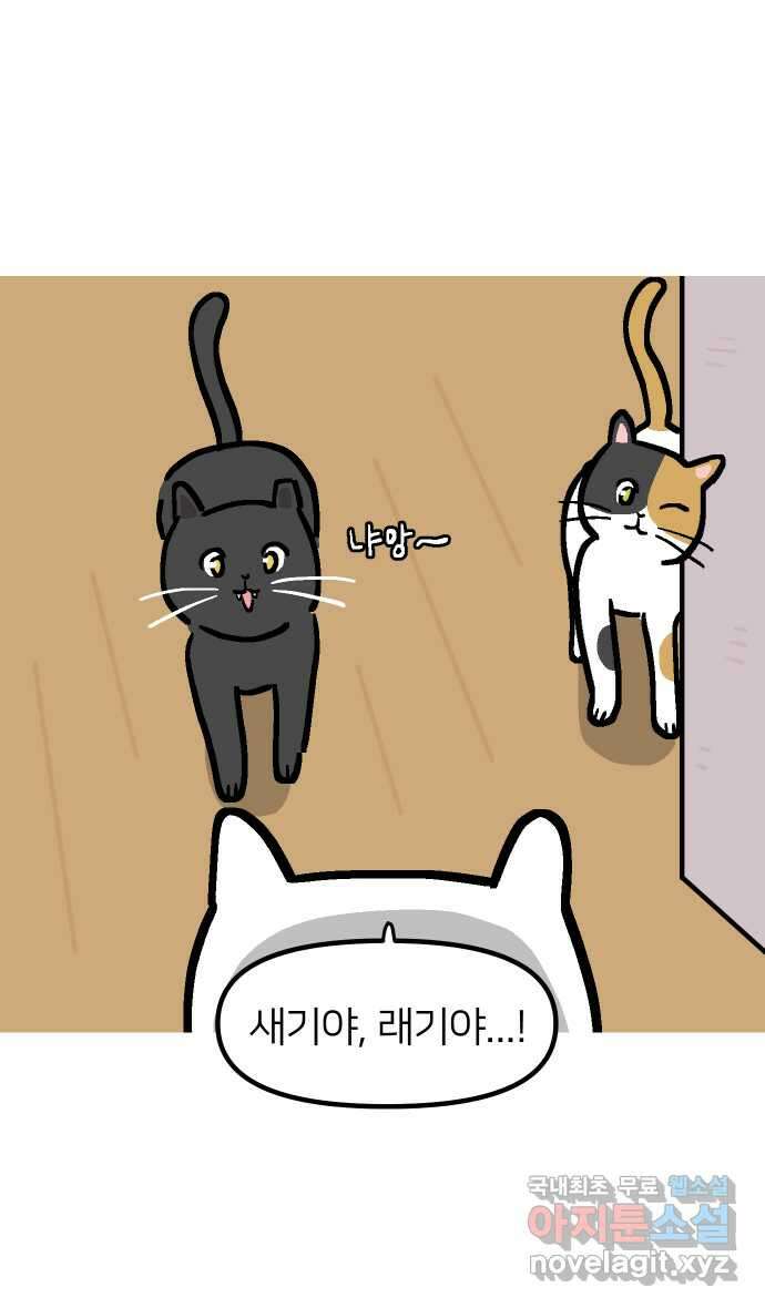 애옹식당 95화 어서와, 요리학원은 처음이지? 41
