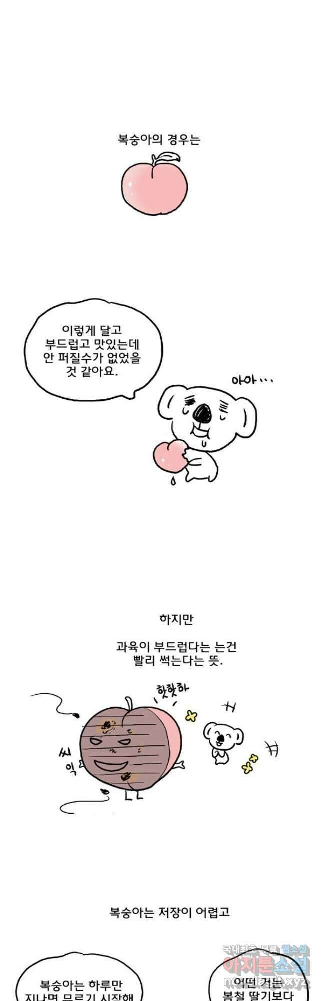 코알랄라 43화 복숭아 8