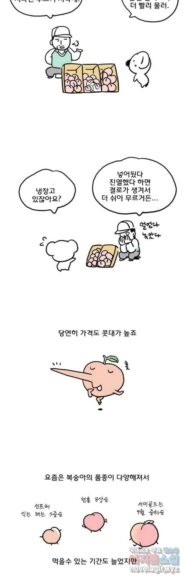 코알랄라 43화 복숭아 9