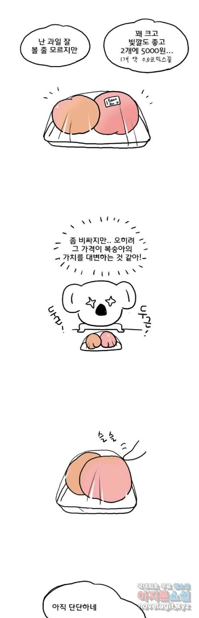 코알랄라 43화 복숭아 11