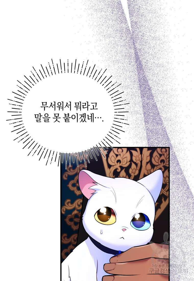 술탄의 귀한 고양이가 되었습니다 10화 3