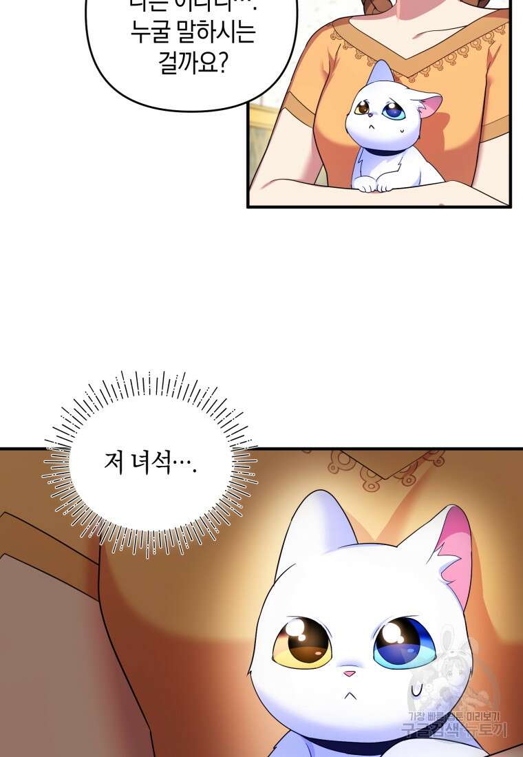 술탄의 귀한 고양이가 되었습니다 10화 11