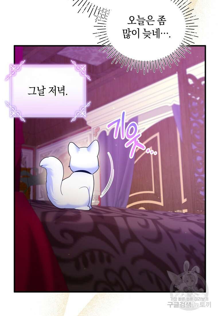 술탄의 귀한 고양이가 되었습니다 10화 14