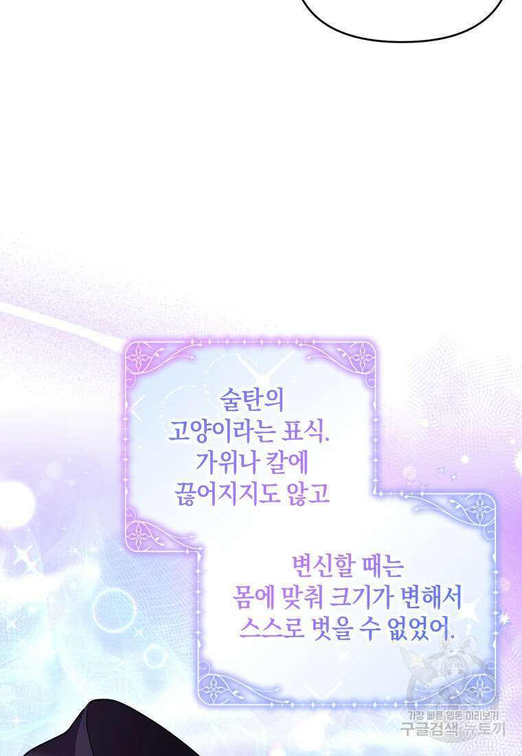 술탄의 귀한 고양이가 되었습니다 17화 8