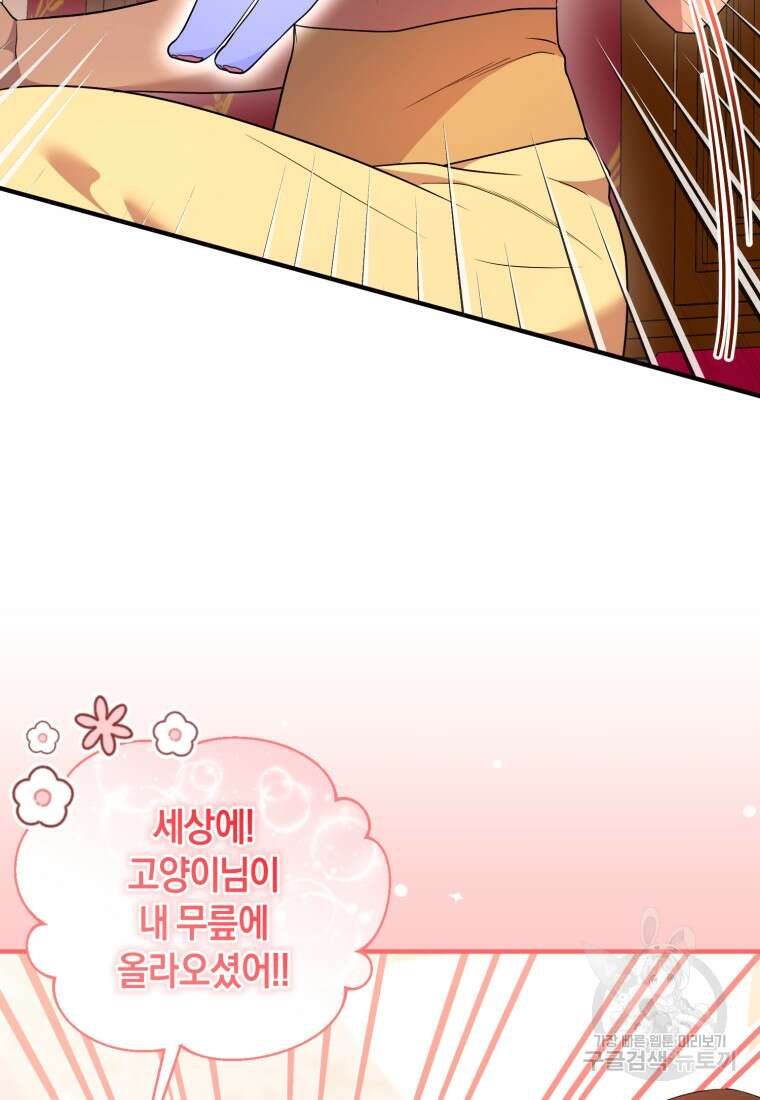 술탄의 귀한 고양이가 되었습니다 24화 11