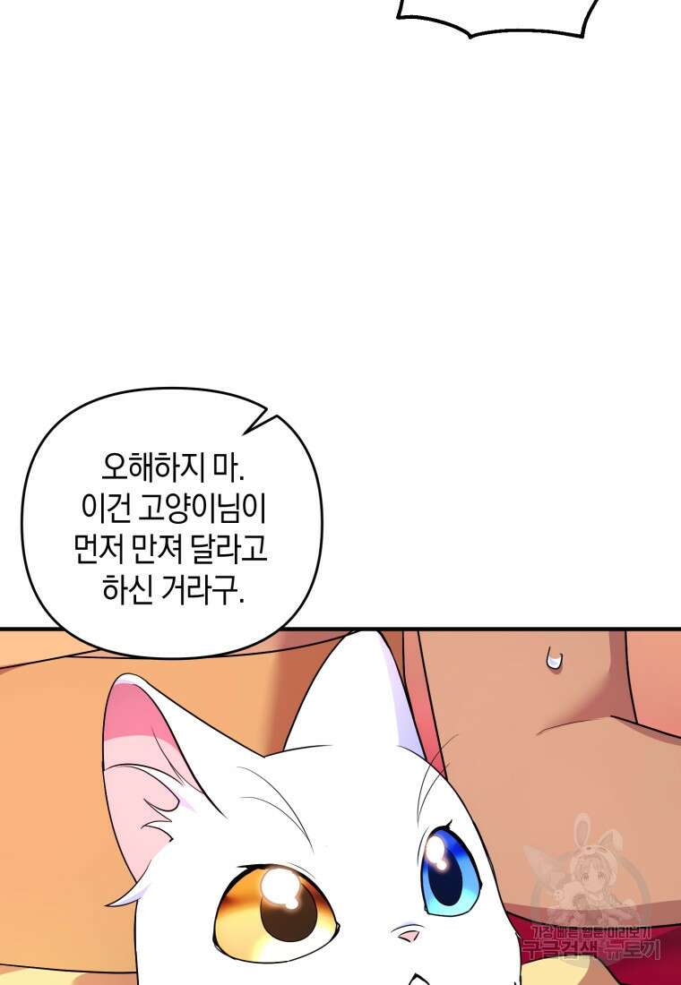 술탄의 귀한 고양이가 되었습니다 24화 21