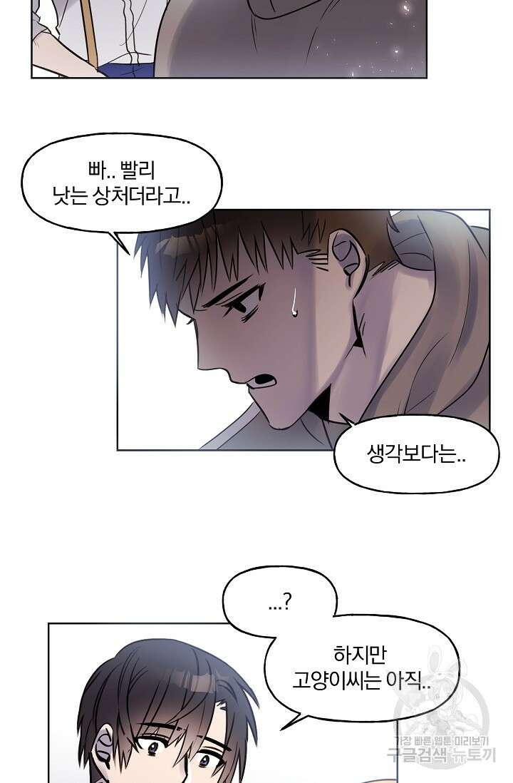 골판지 상자 안 고양이씨 시즌2 13화 8