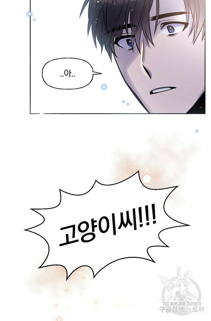 골판지 상자 안 고양이씨 시즌2 30화 13