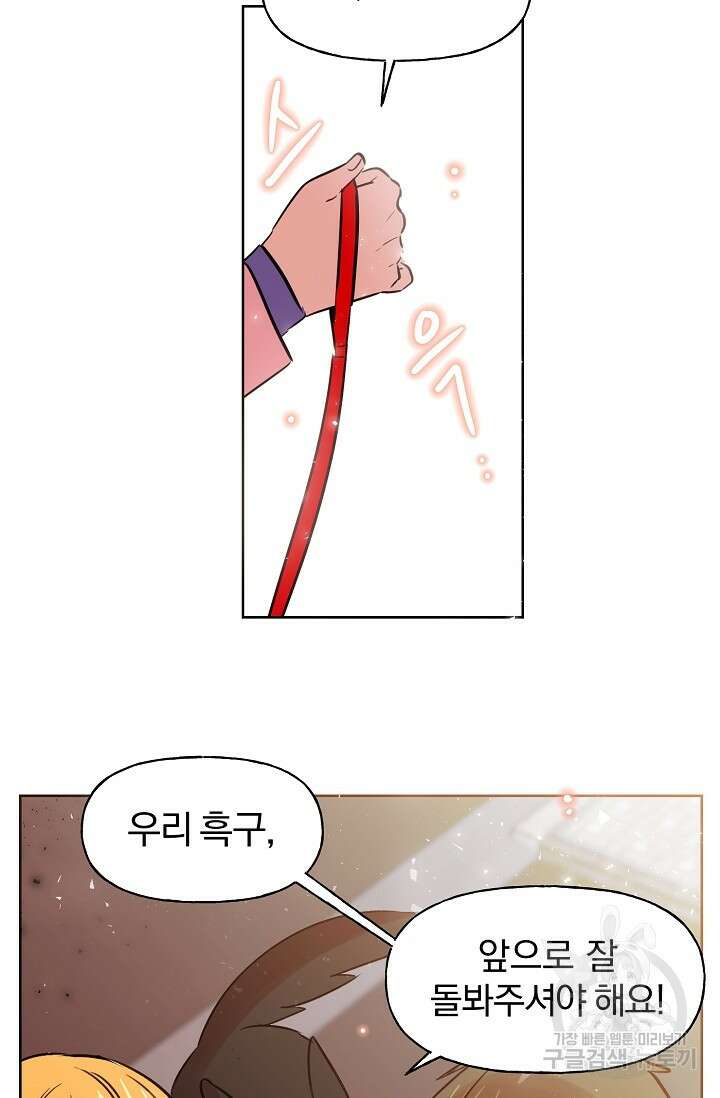 골판지 상자 안 고양이씨 시즌2 30화 34