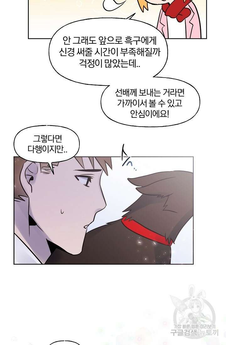 골판지 상자 안 고양이씨 시즌2 30화 38