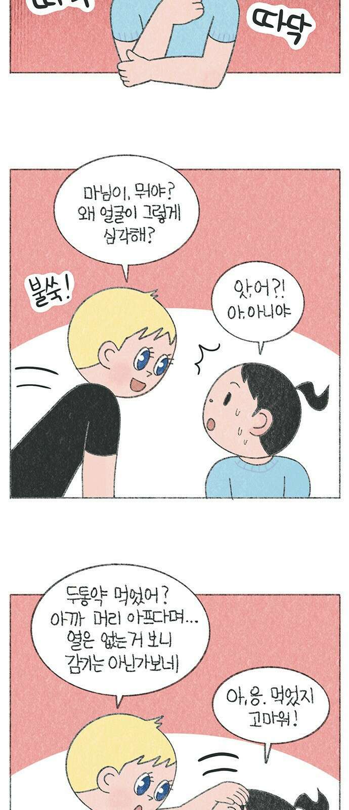 마님이네 미국 시골집 이야기 24화 비밀 작전 4