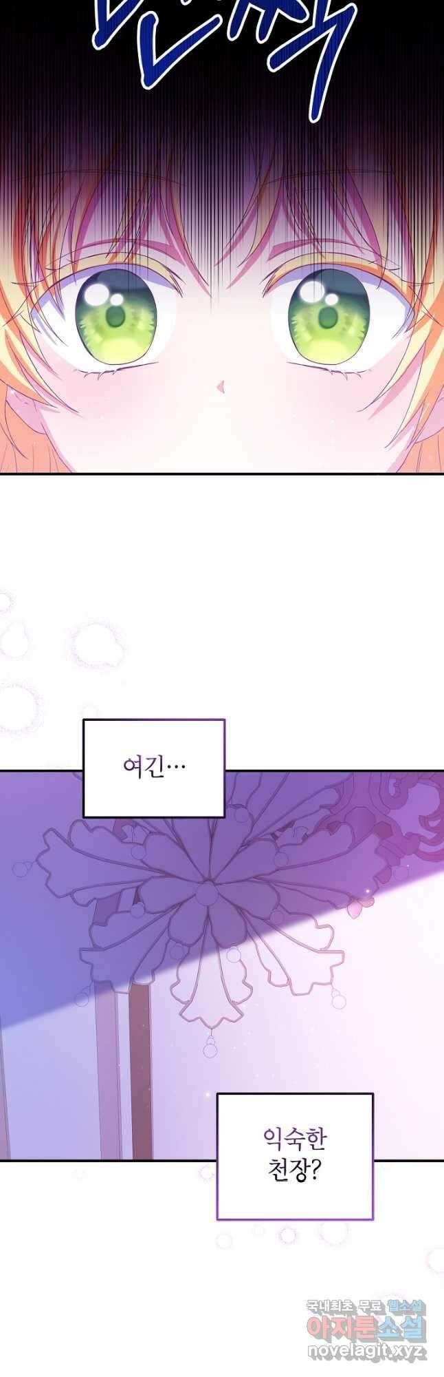 입양된 며느리는 파양을 준비합니다 49화 2