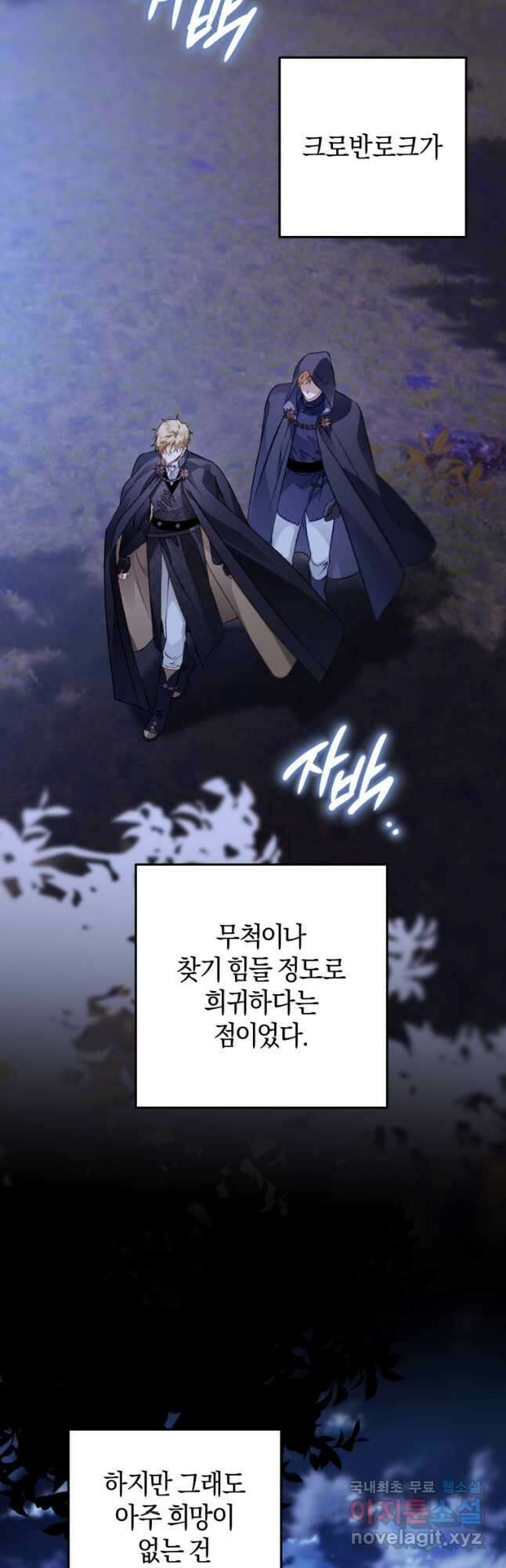 하필이면 까마귀가 되어버렸다 외전 12화 (최종 완결) 31