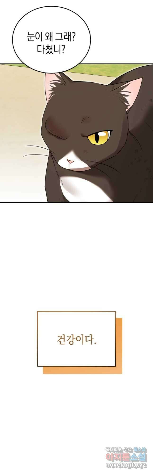 수의사님! 안녕하세요 27화 4
