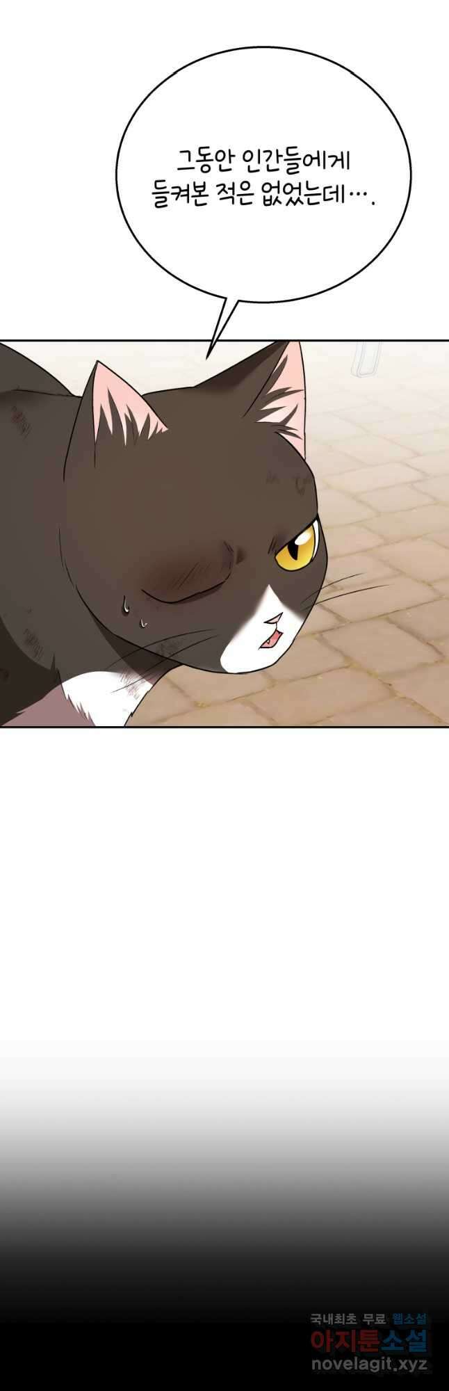 수의사님! 안녕하세요 27화 6